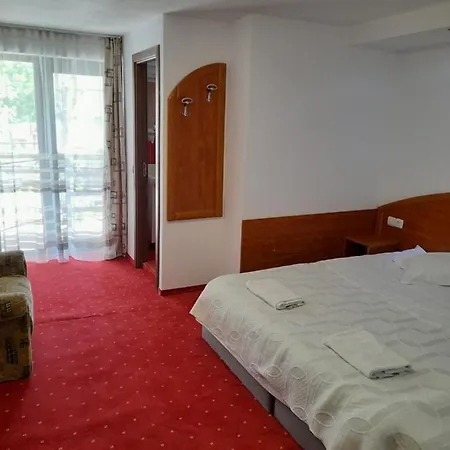 Guest house Casa Tican *