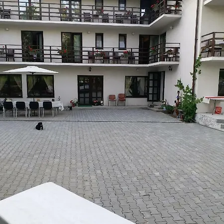 Casa Tican Guest house Bran (Brasov)