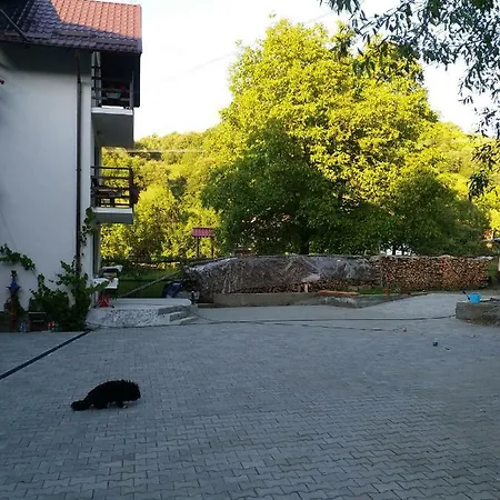 Casa Tican Bran (Brasov)